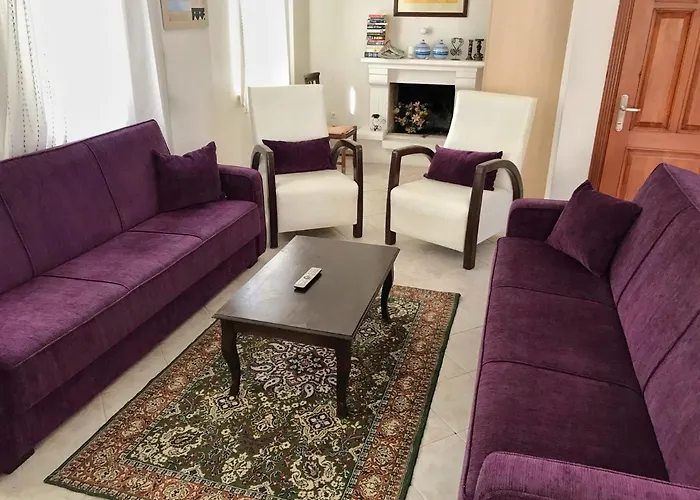 Dalyan Villa 빌라 *